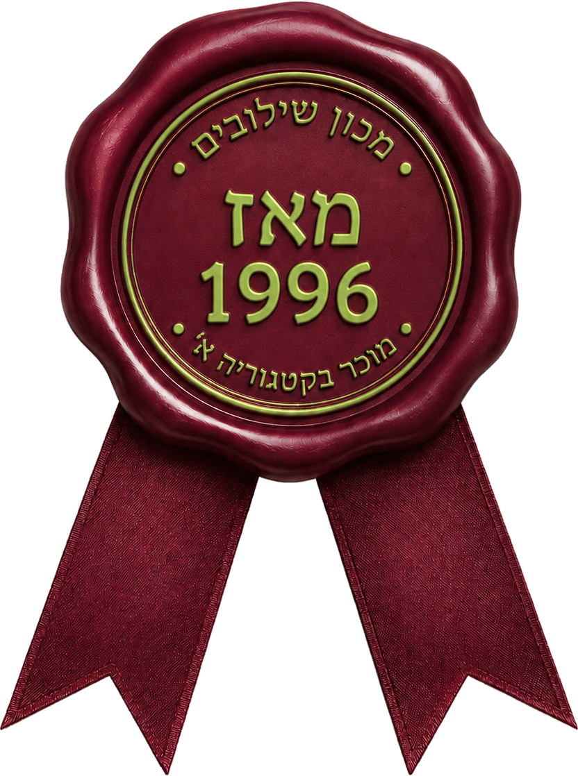 מאז 1996